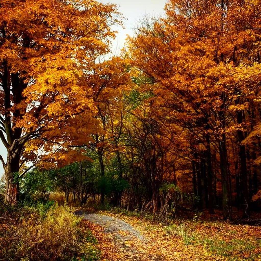 Photo: Path