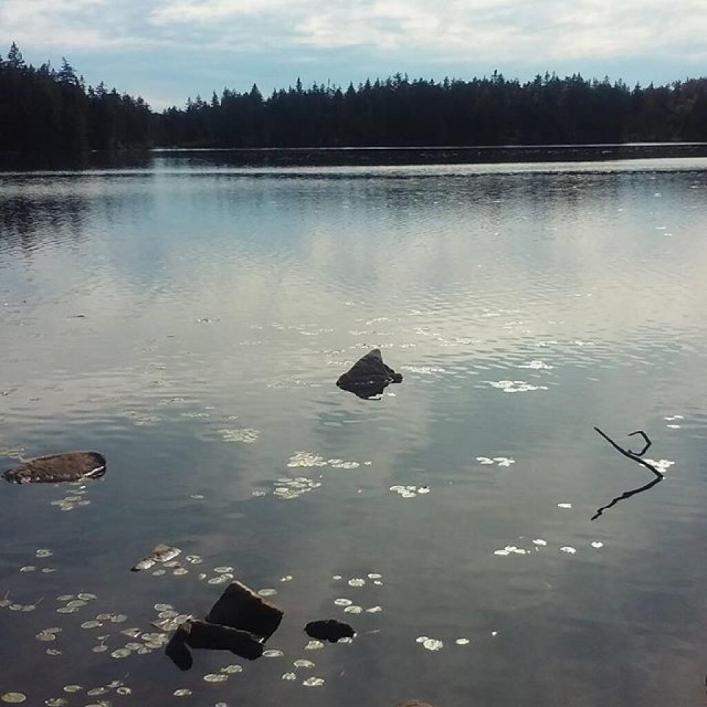 Photo: Quiet on Branch Pond