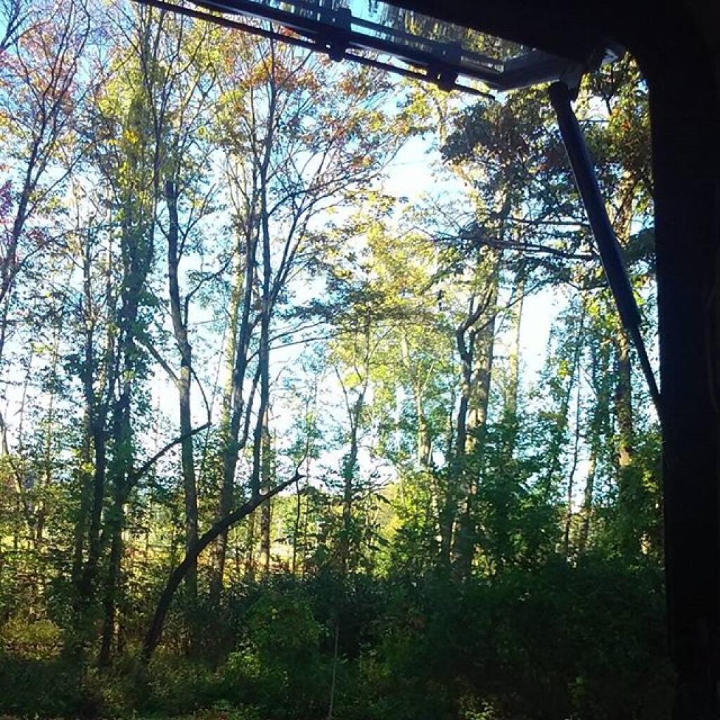 Photo: Nice autumn day