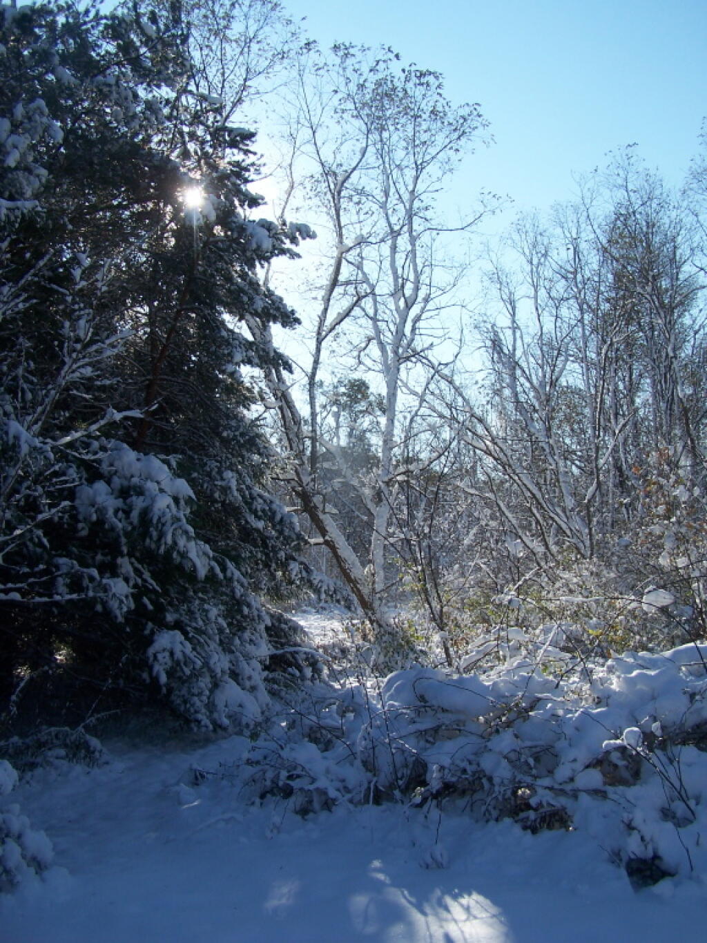Photo: Winter Wonderland