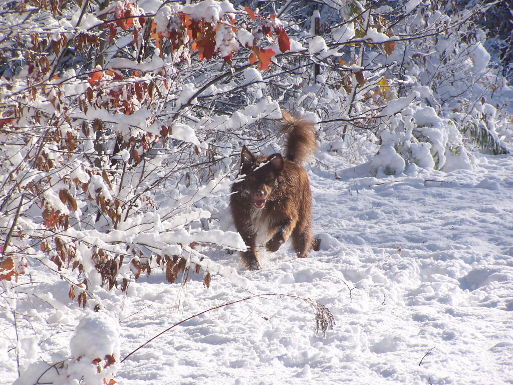 Photo: Snow Is Great, Honest!