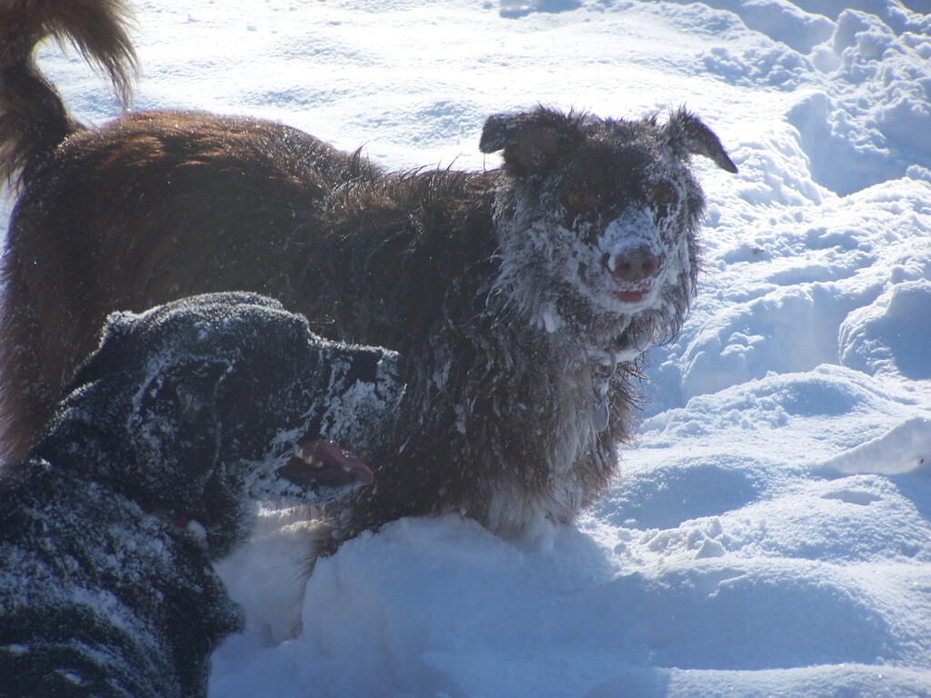 Photo: Snow Covered Faces