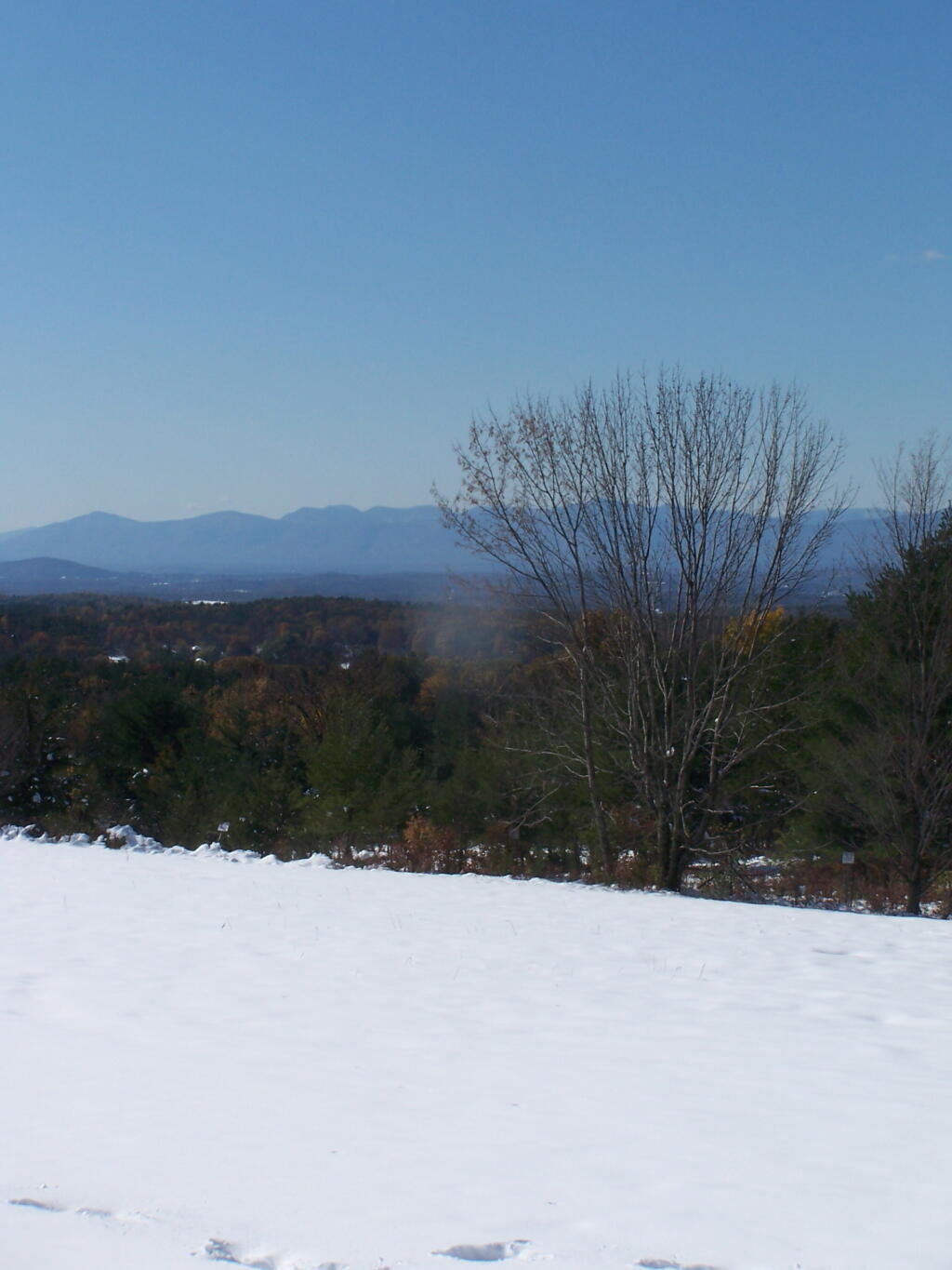 Photo: View Off Taconic Parkway Pull-Off