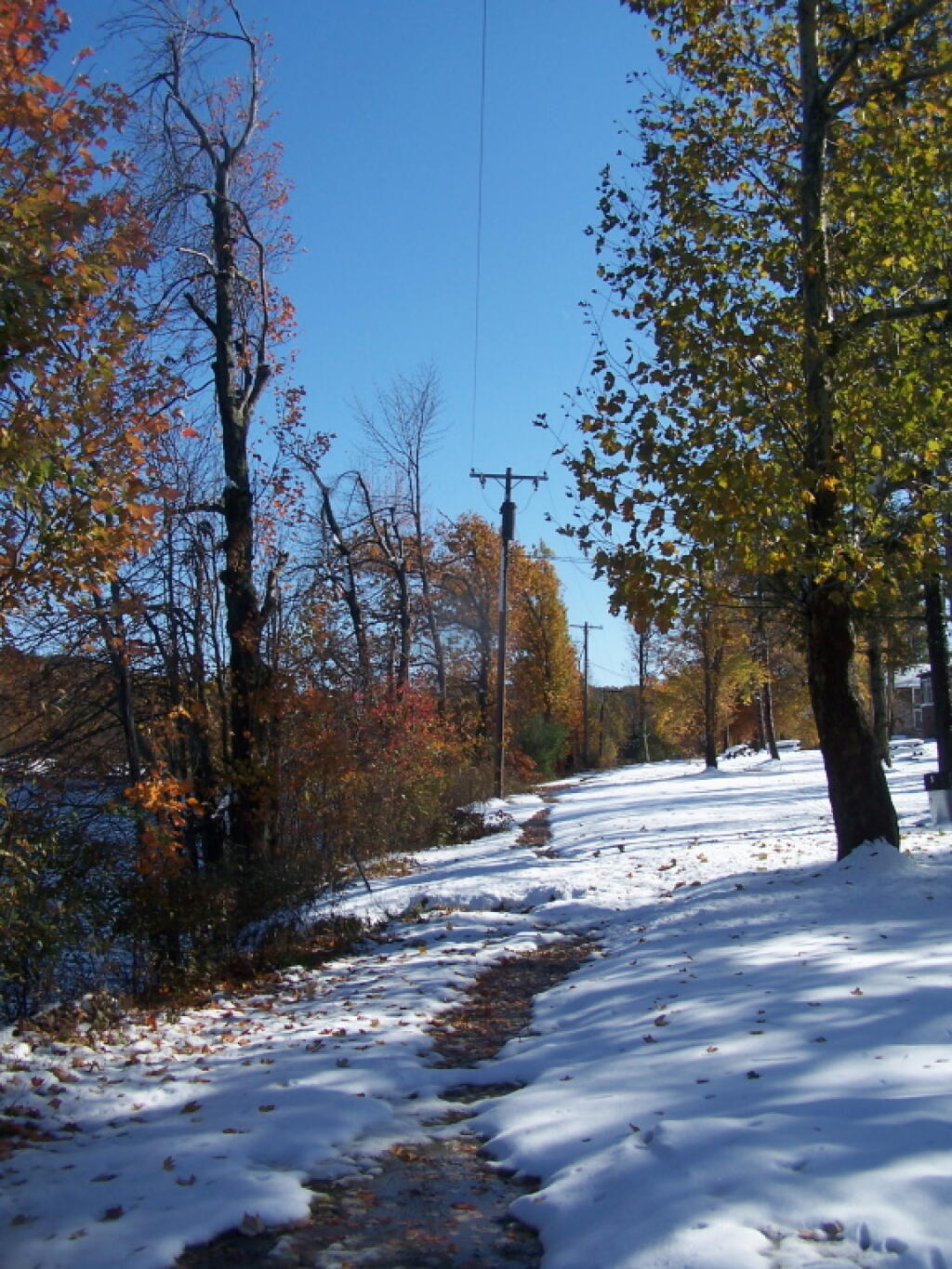 Photo: Along Lake Shore