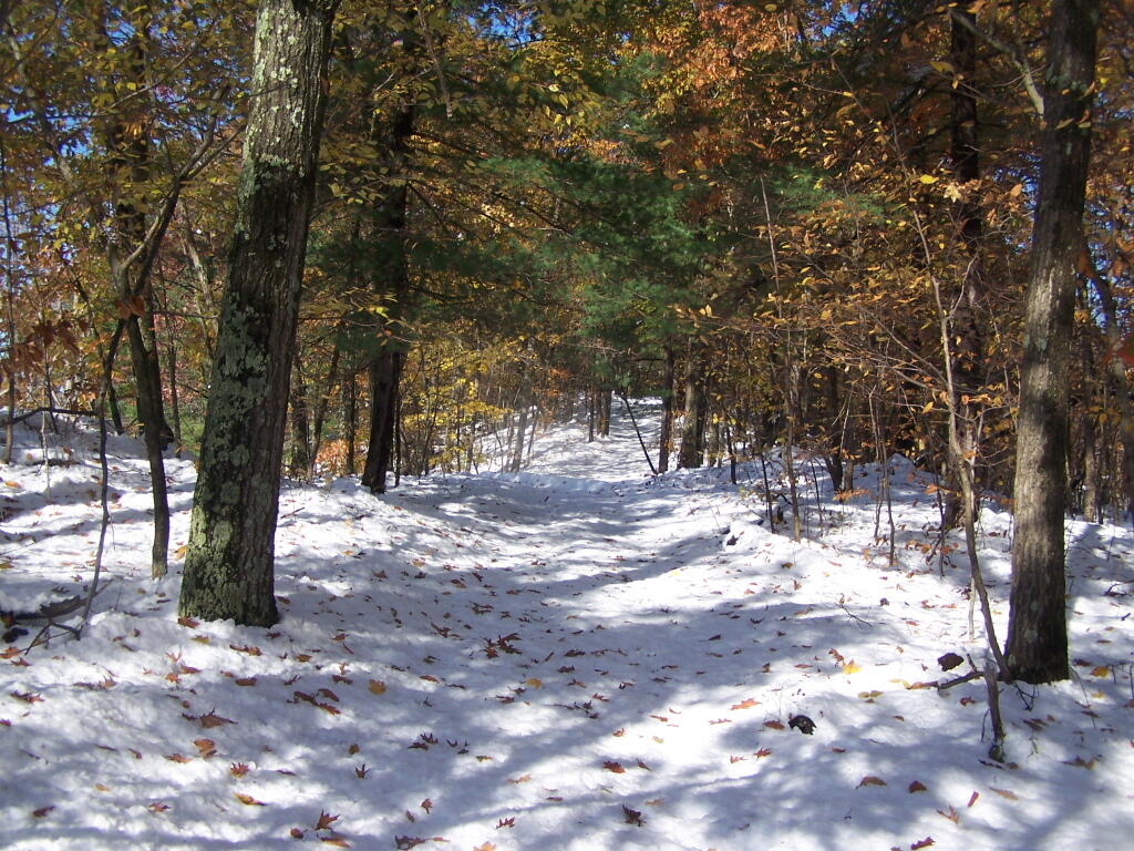 Photo: Trail Along Backside of Lake