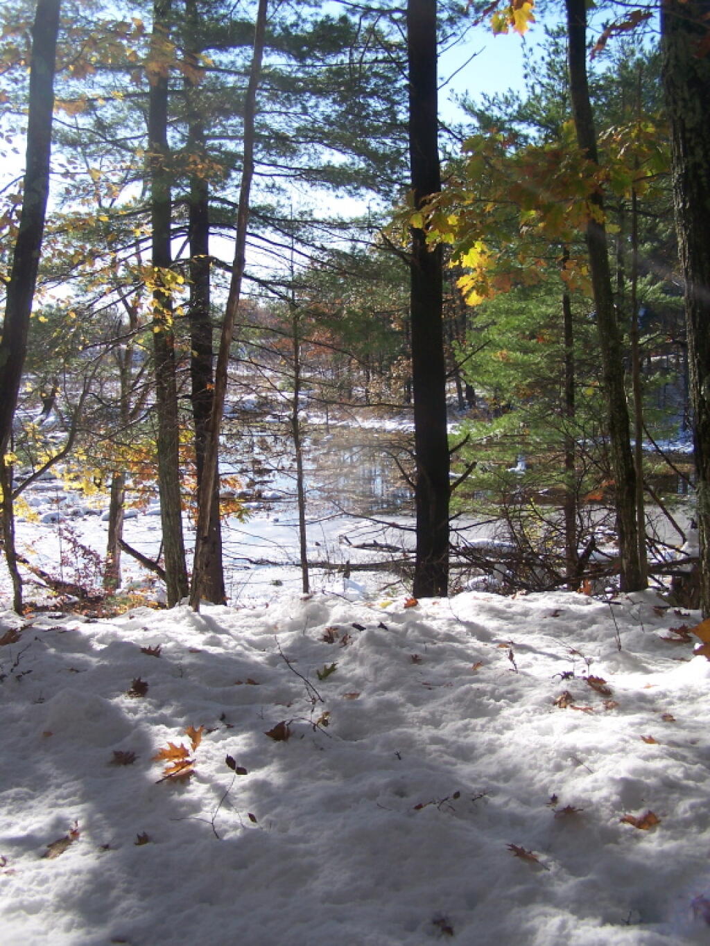Photo: End of Lake