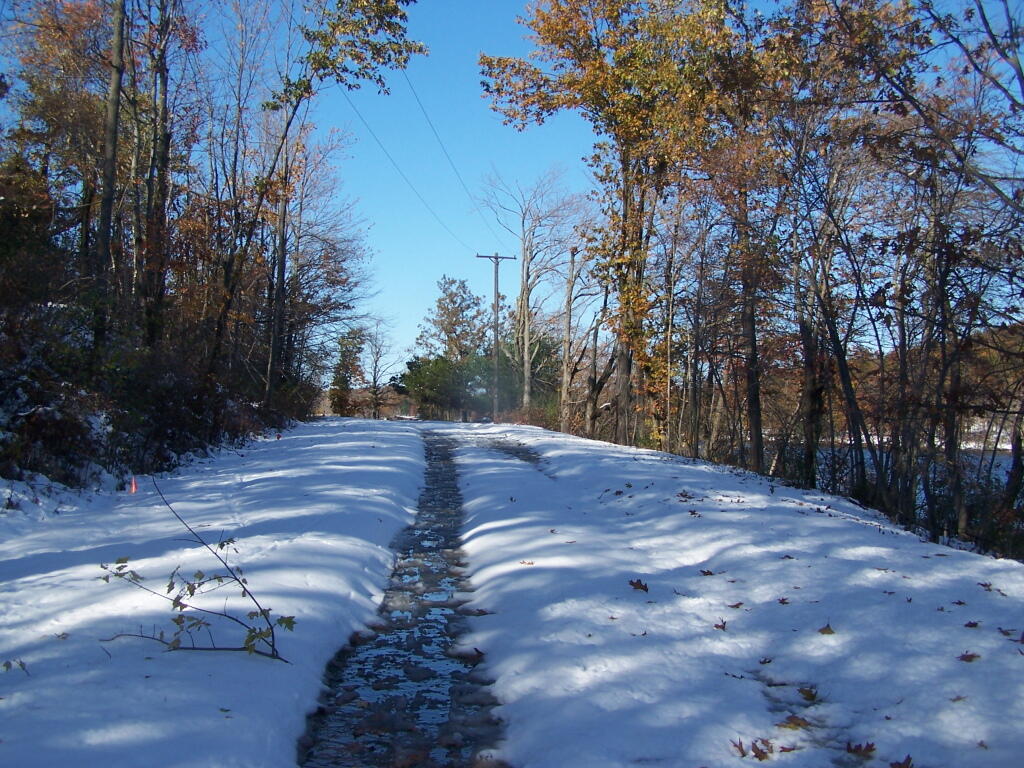 Photo: Footpath