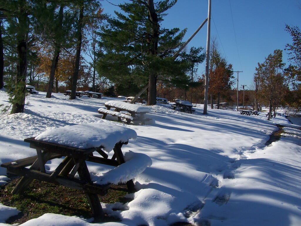 Photo: Picnic Tables