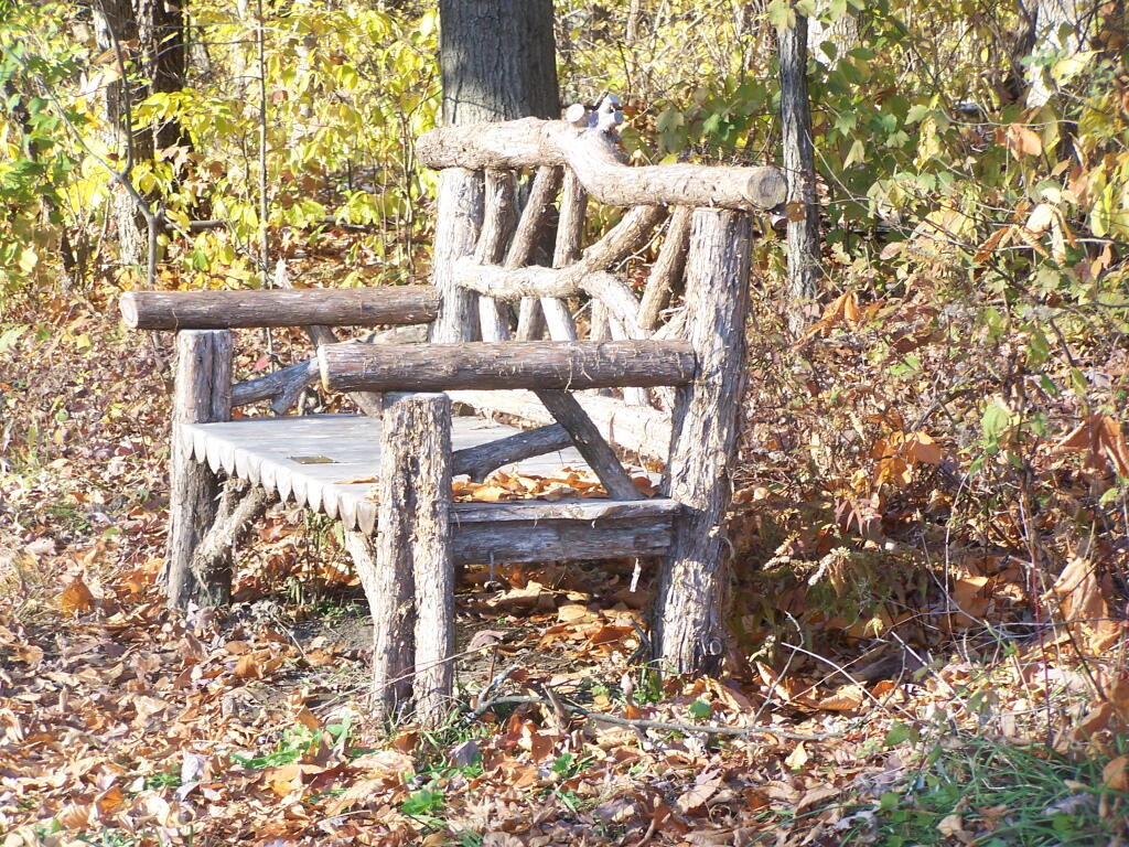 Photo: Bench Along Trail