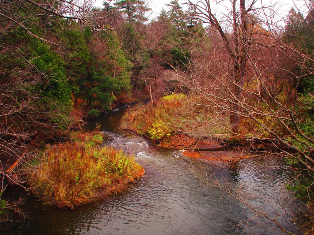 Photo: Cazenovia Creek