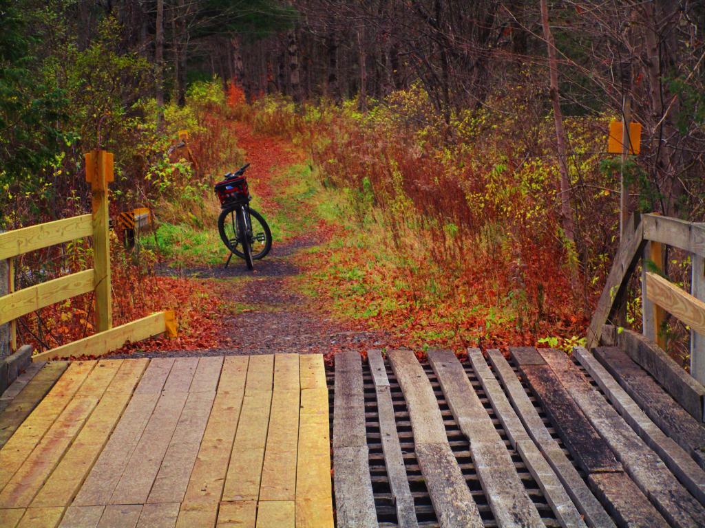 Photo: Nice Ride Over the Bridge