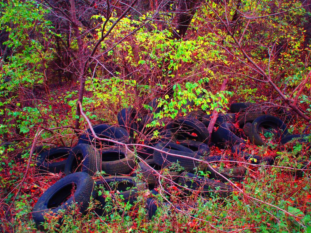 Photo: Tire Dump