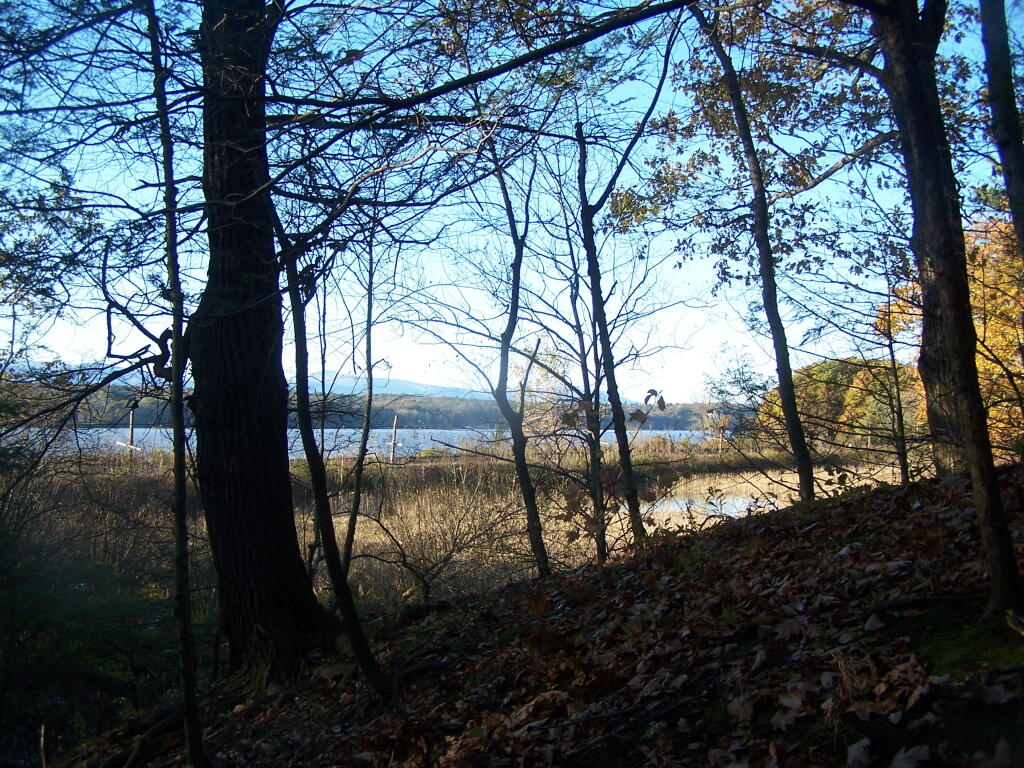 Photo: View Along the River