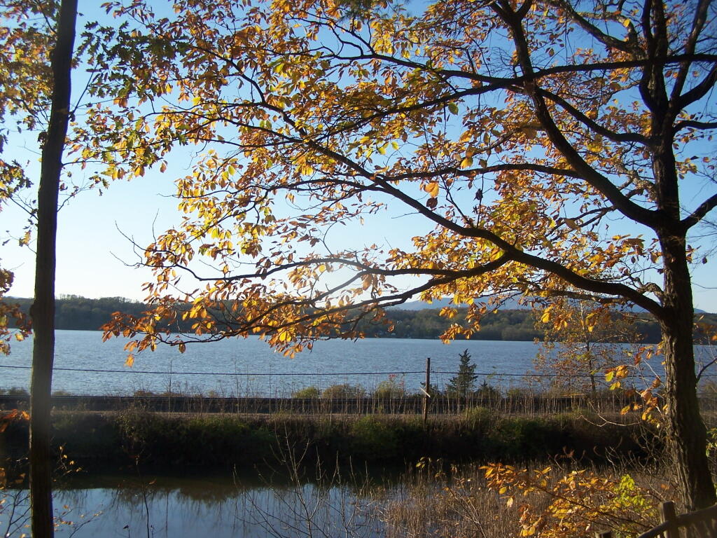 Photo: View from the 