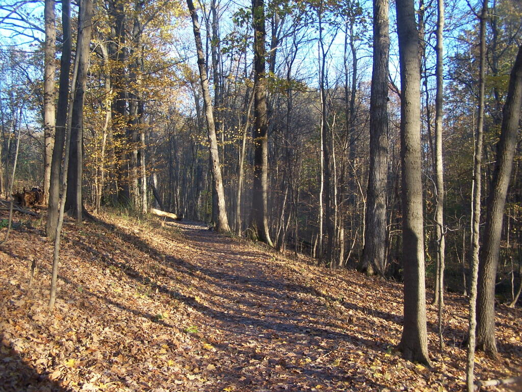 Photo: Along the Carriage Path