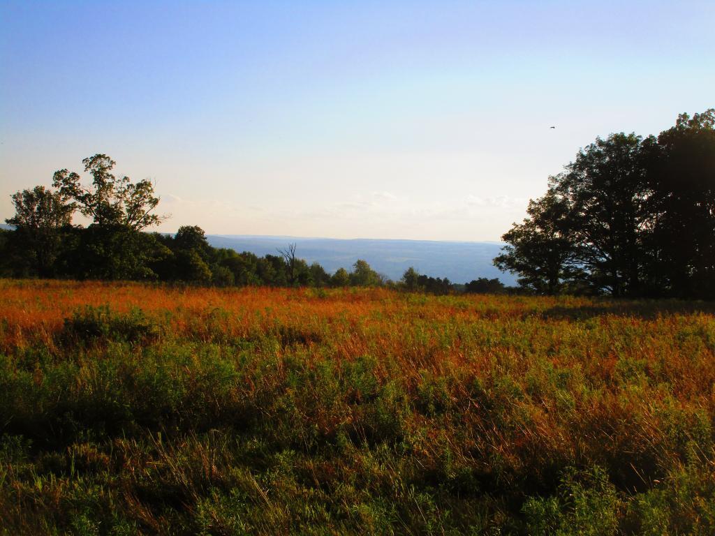 Photo: Grasslands