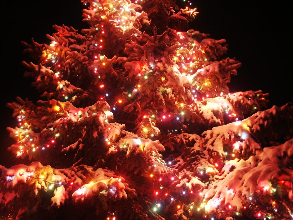 Photo: Christmas Lights at My Parents House