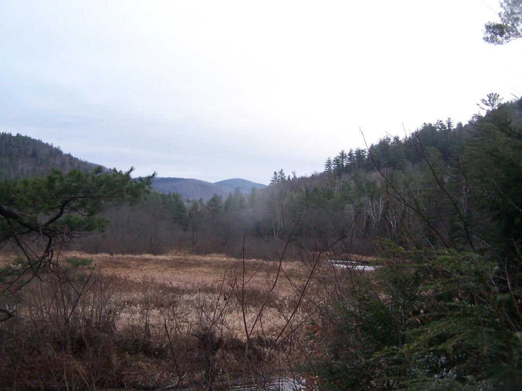 Photo: Grey and Wet Adirondack Morning
