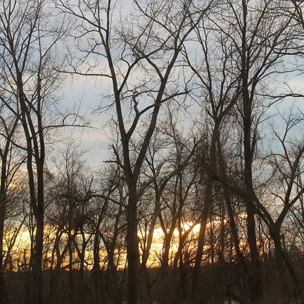 Photo: Typical winter 2016 afternoon