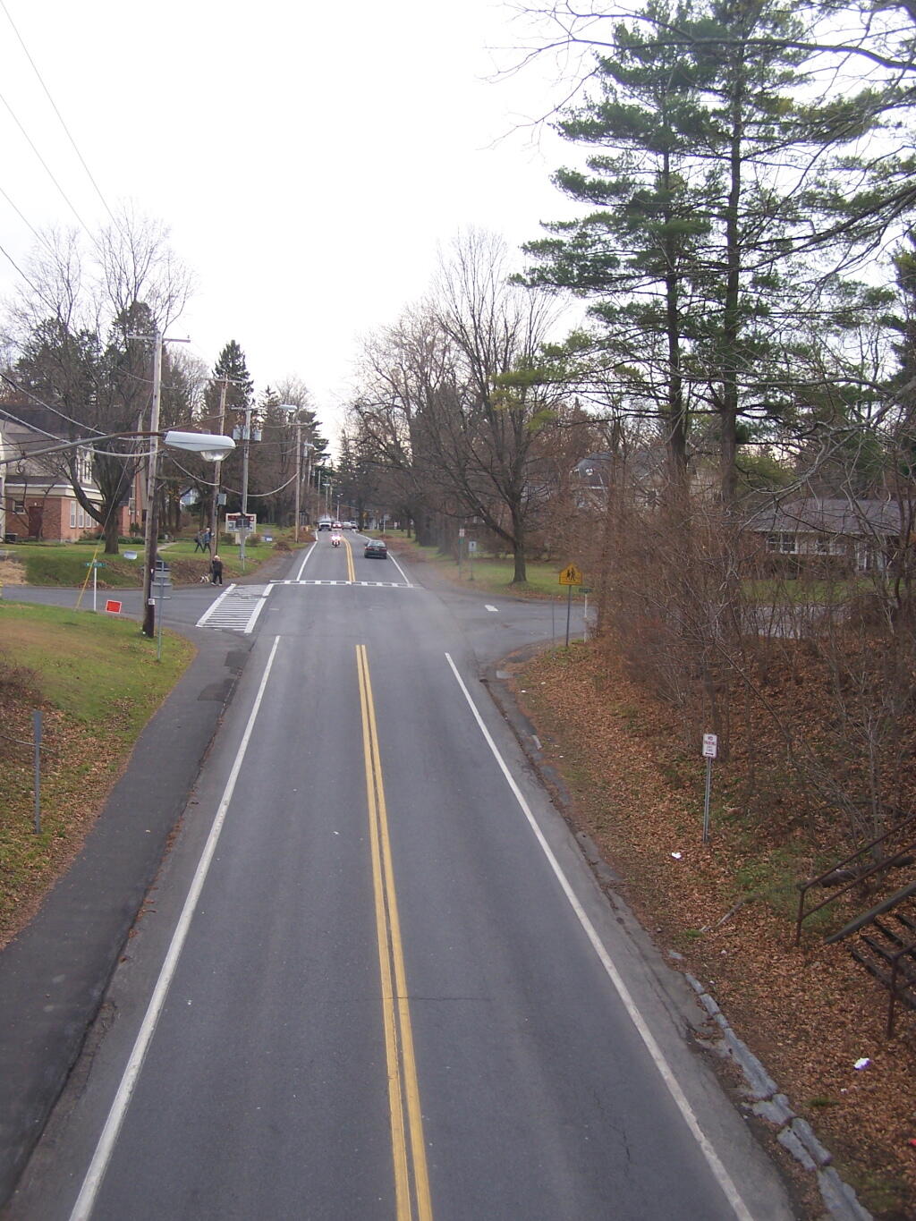 Photo: Elsmere Avenue South