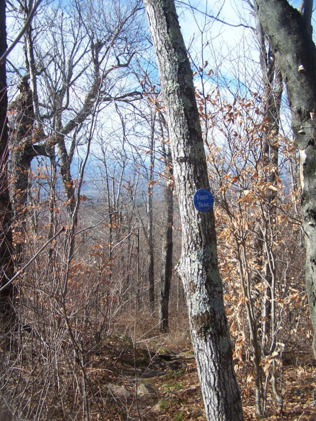 Photo: Starting to Gain Some Elevation