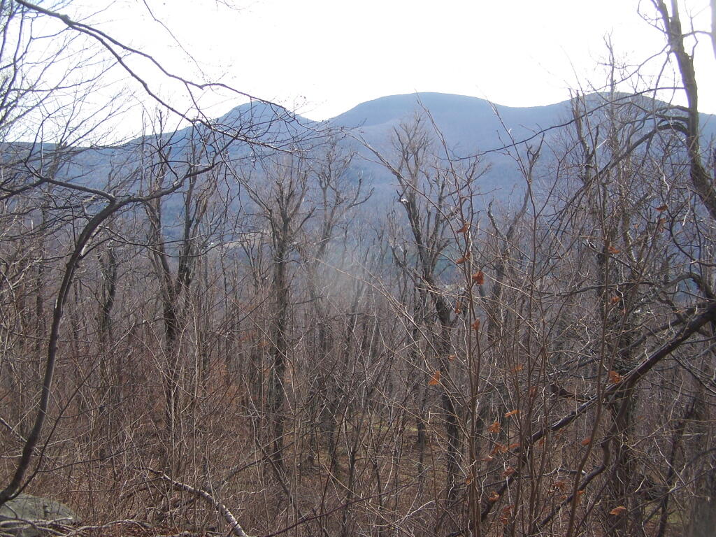 Photo: Blackhead Range