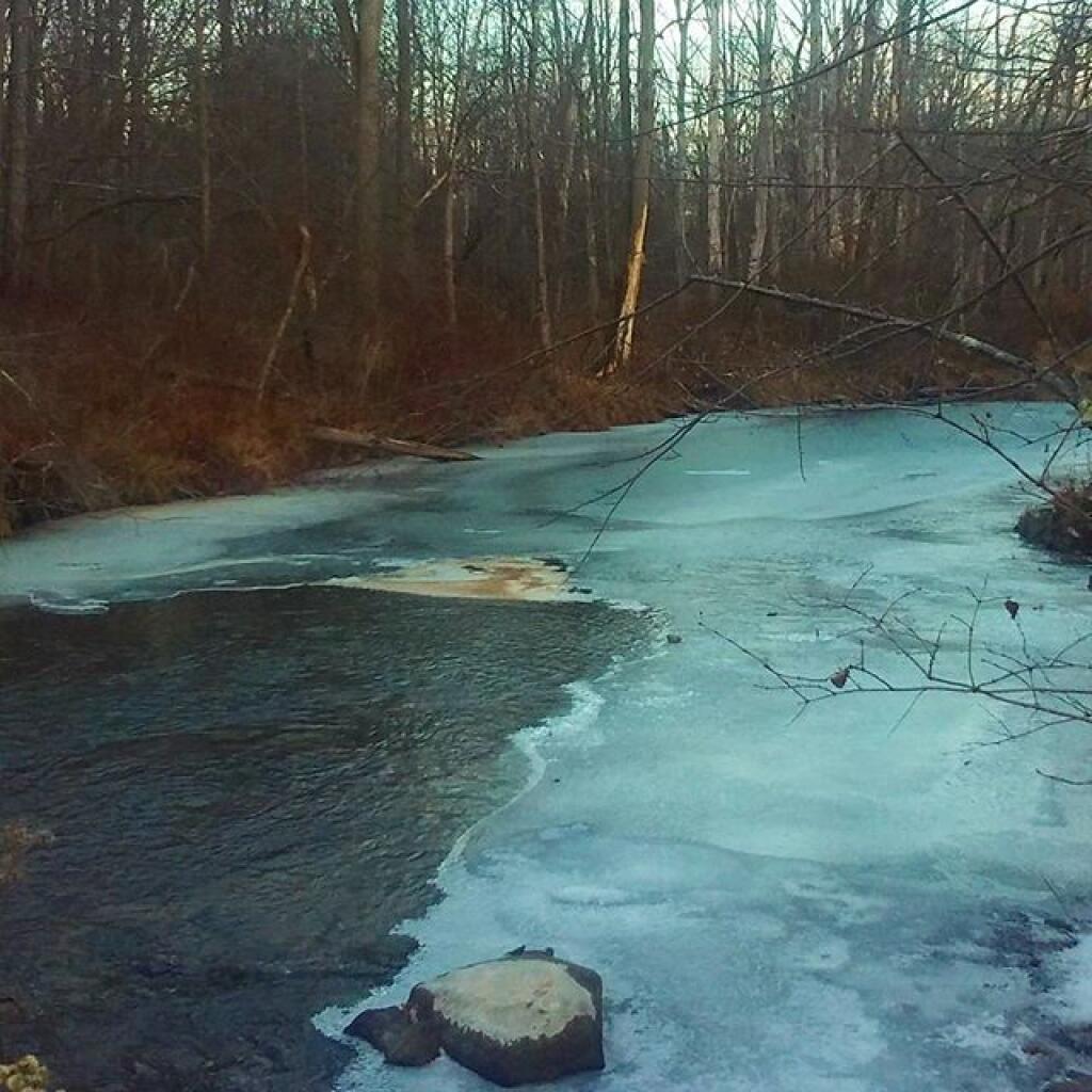 Photo: Freezing over