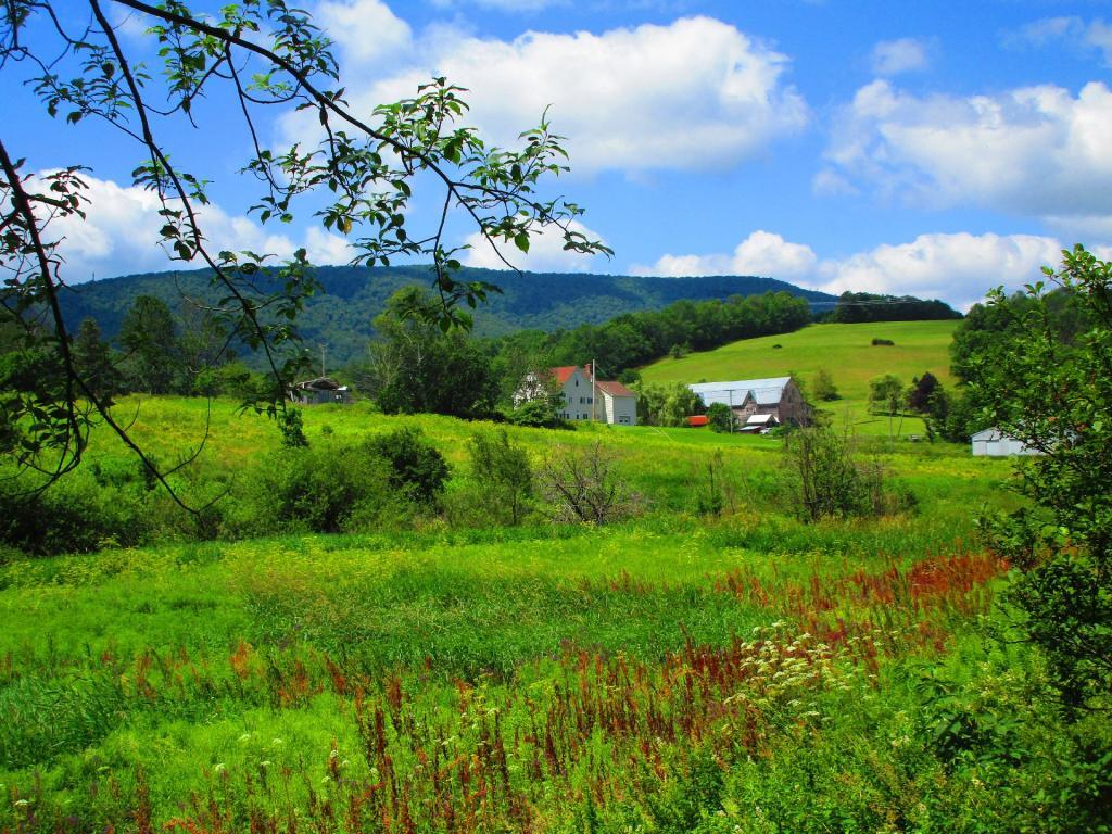 Photo: Scenic Farm Along the Catskill Scenic Trail