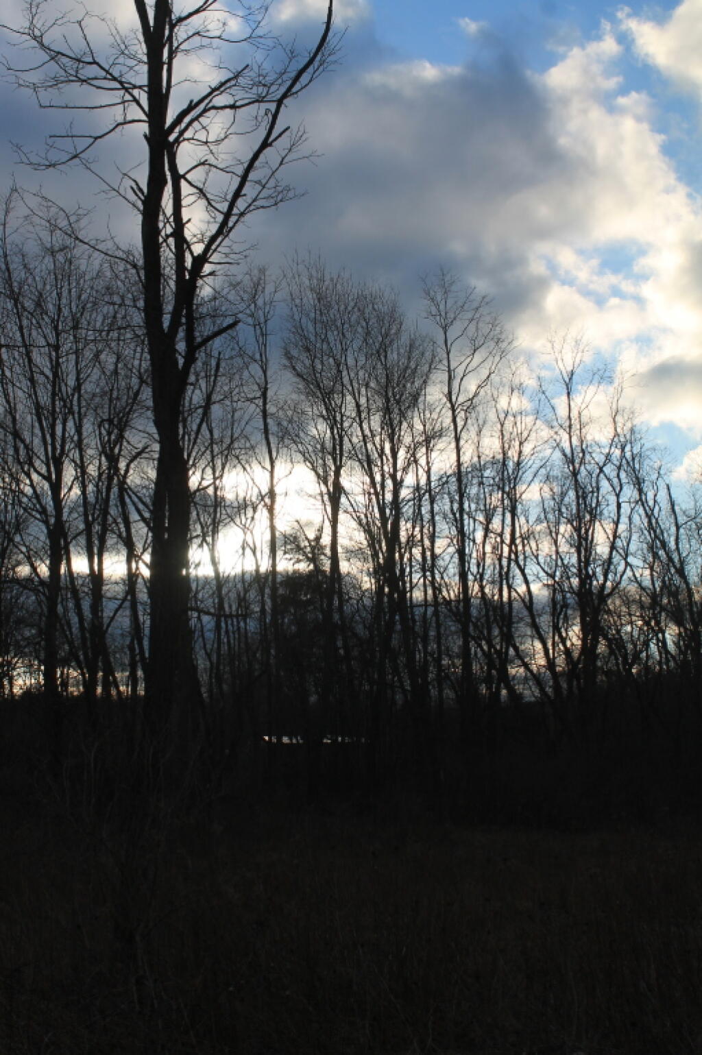 Photo: Getting Dark