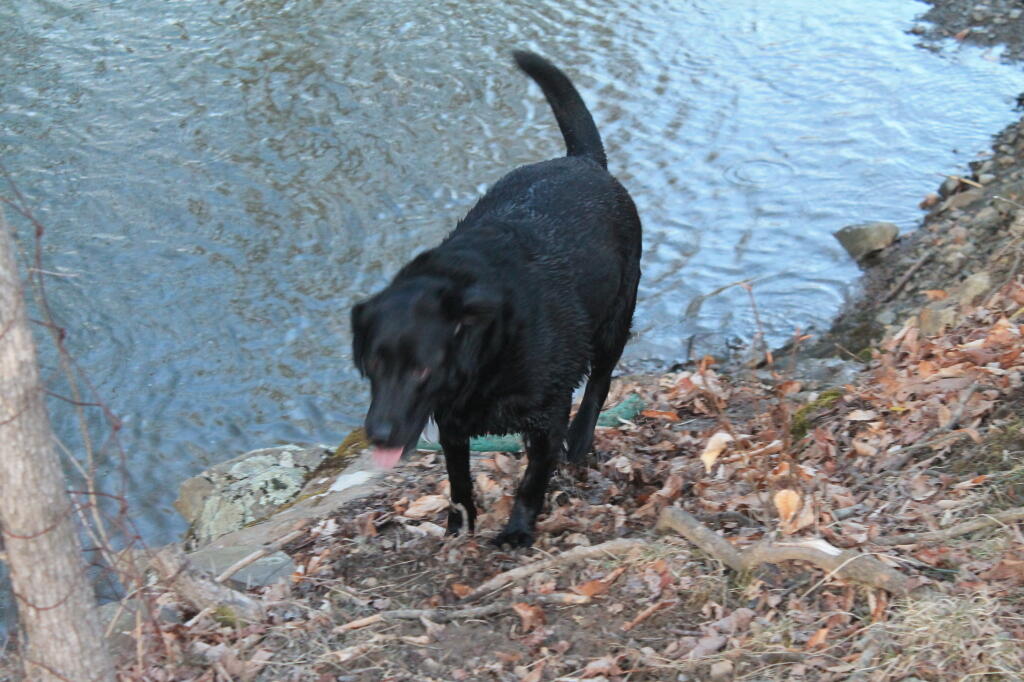 Photo: Gone Swimming