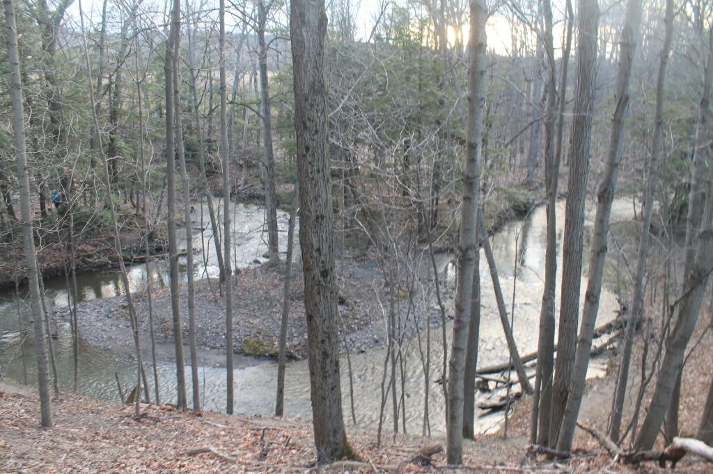 Photo: Oxbow in Vlomanskill