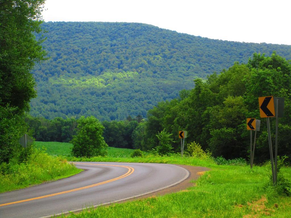 Photo: Bend along the road