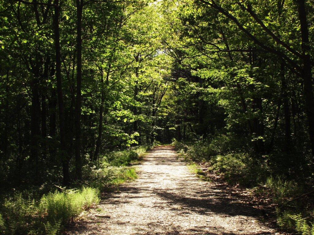 Photo: Inviting