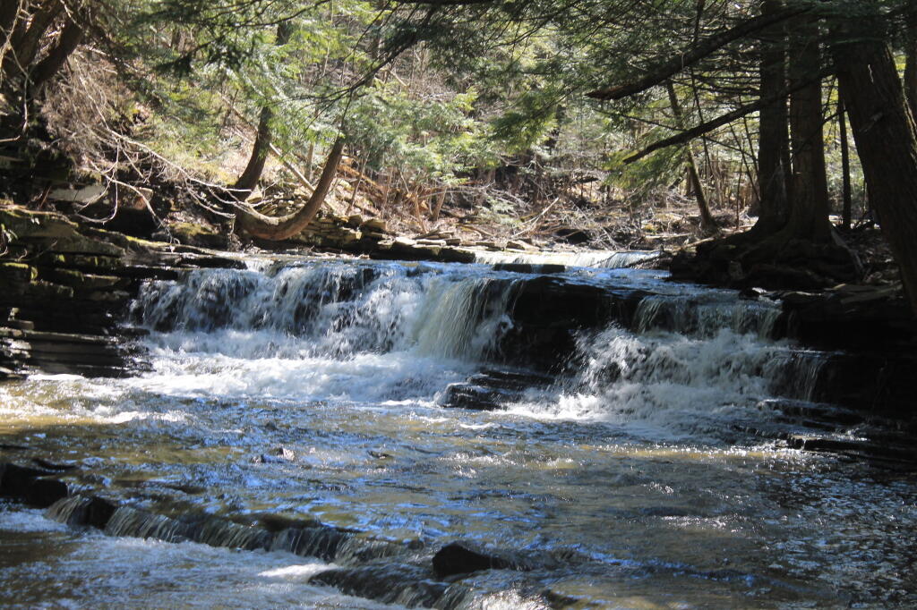 Photo: Falls