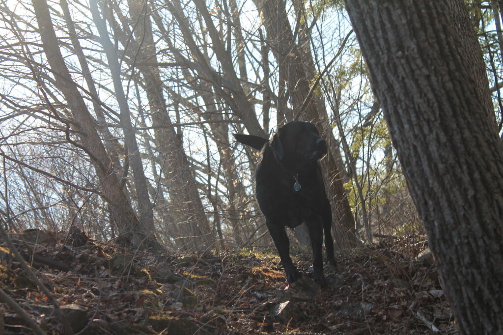 Photo: Looking Up at Abbie