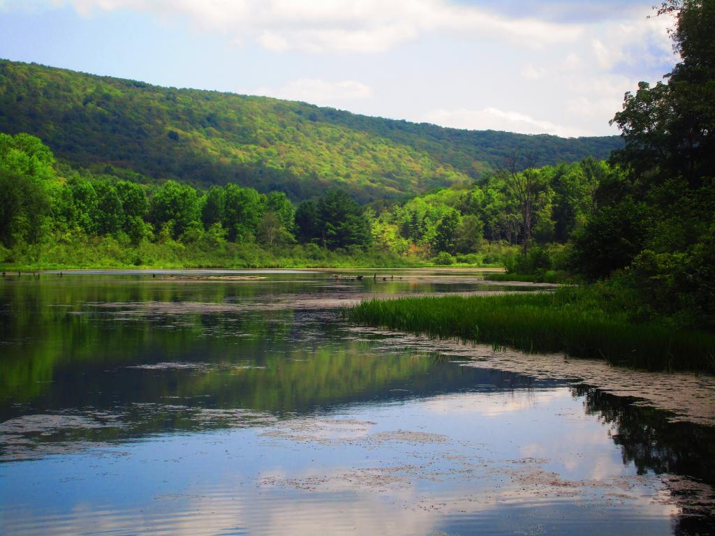 Photo: Pond in Texas Hollow