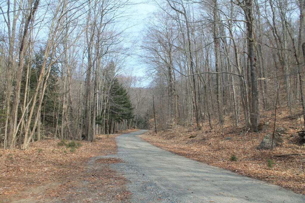 Photo: Hope Falls Road