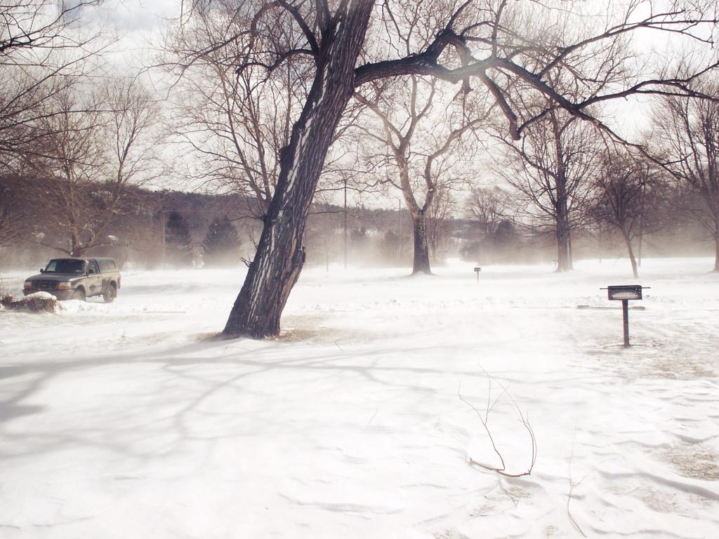 Photo: Blowing Snow