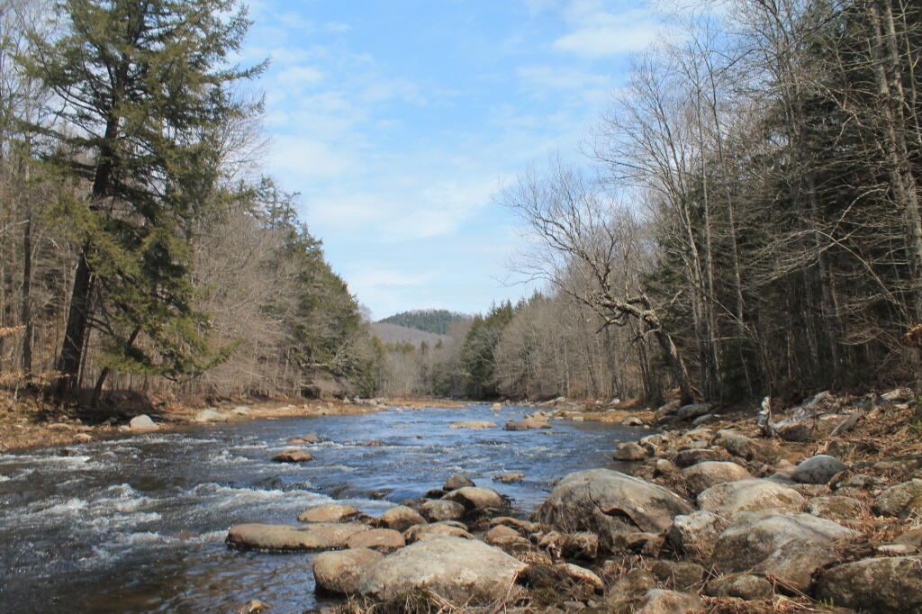Photo: Wilcox Mountain from East Stony Creek