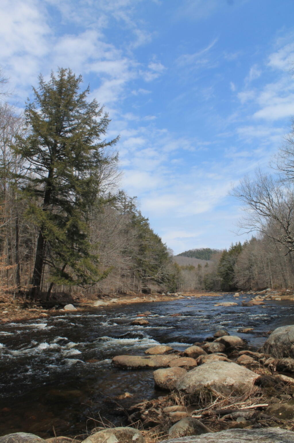 Photo: East Stony Creek