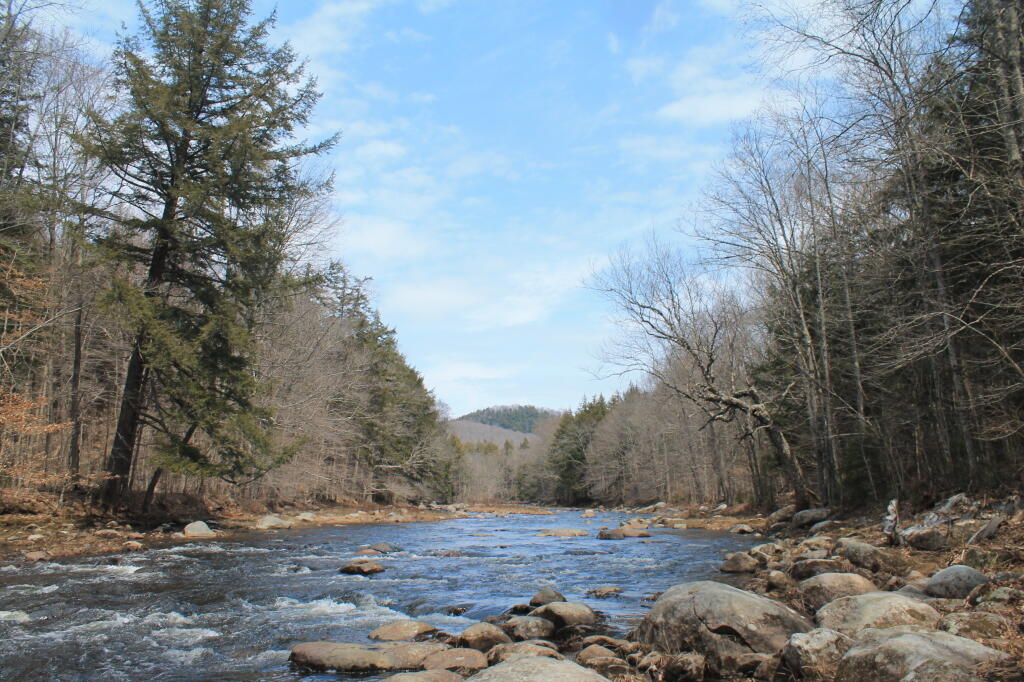 Photo: Another Picture of Stony Creek