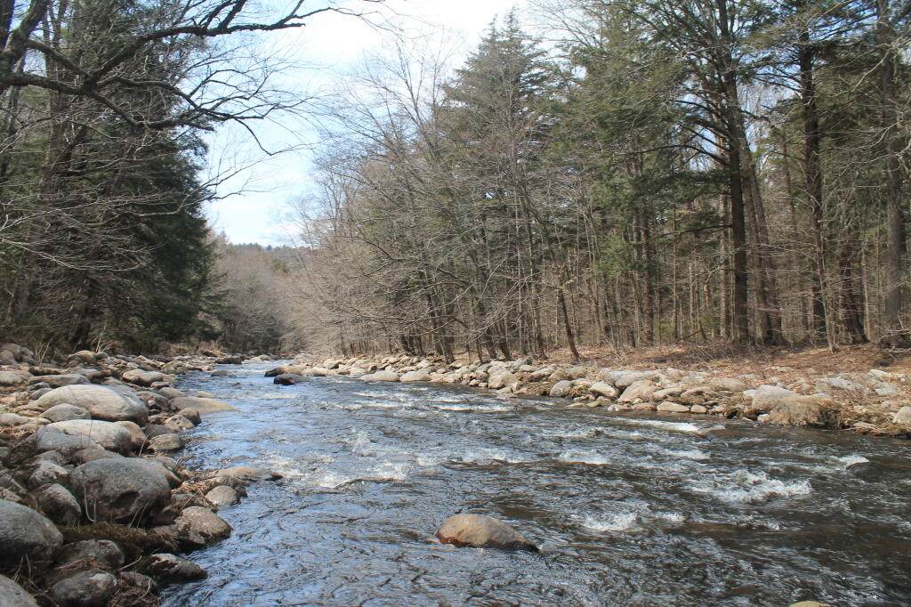 Photo: Downstream