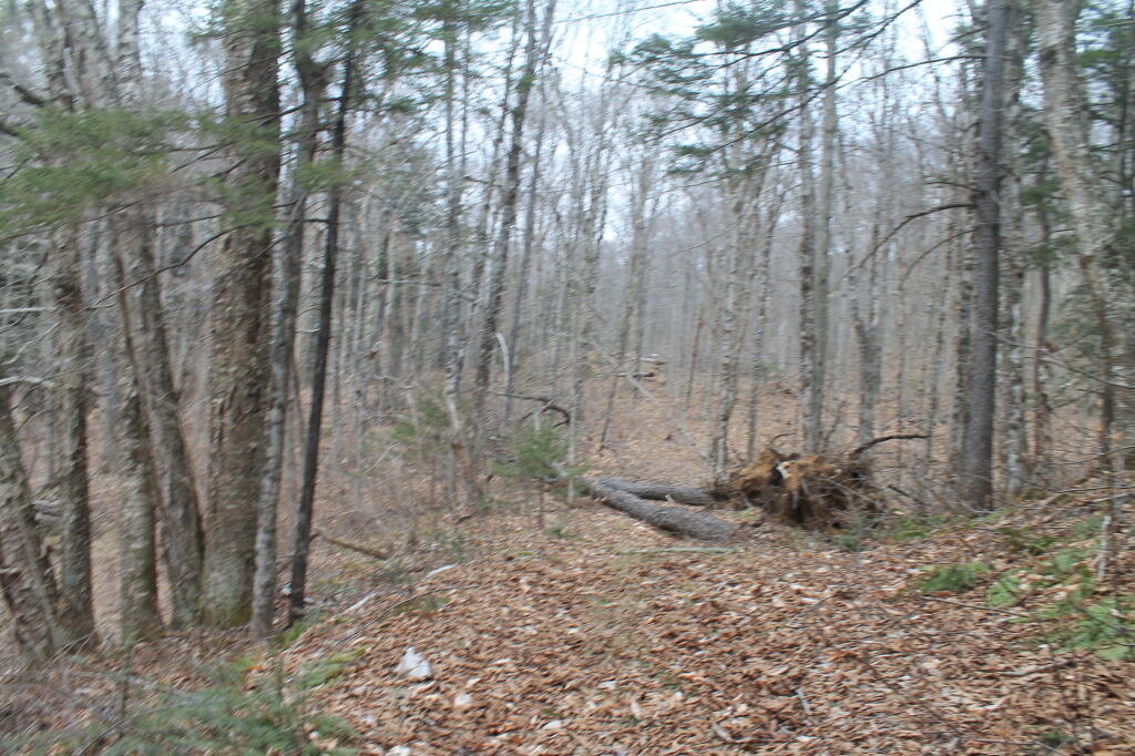 Photo: Some Parts of the Trail are Kind of Dull