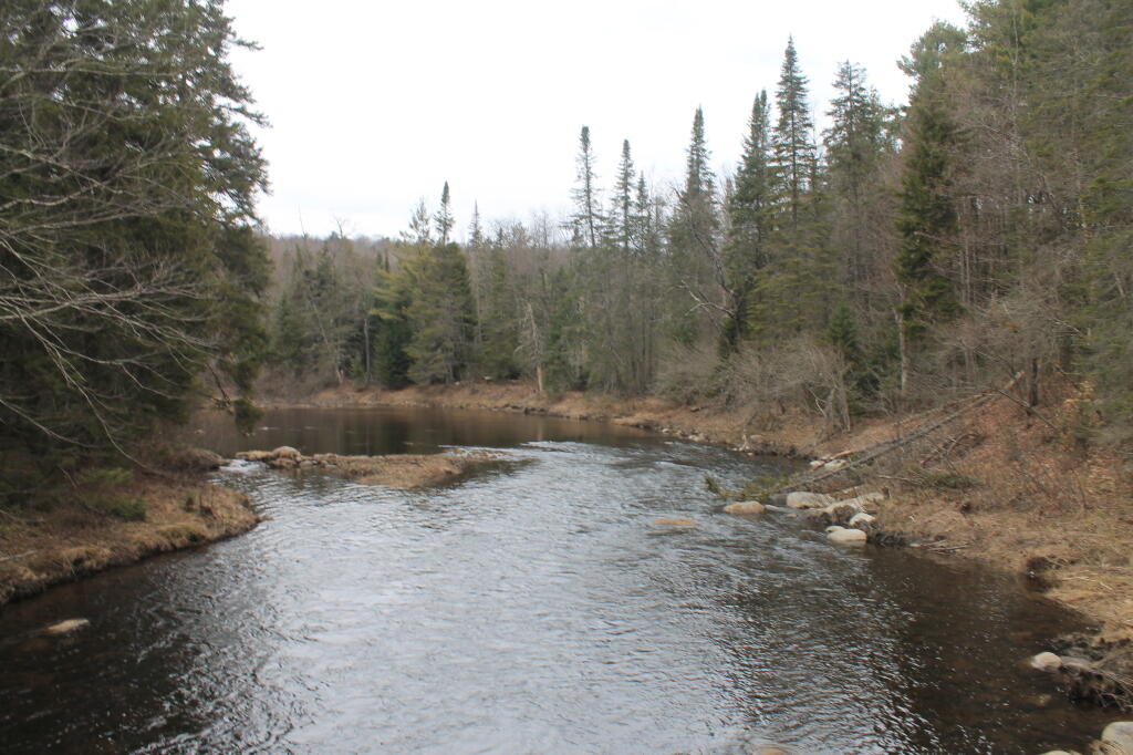 Photo: Upstream from the Bridge