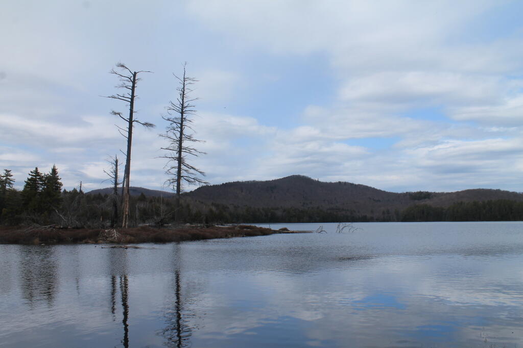 Photo: Wilcox Lake