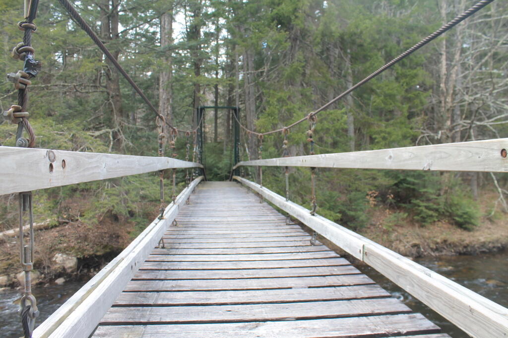 Photo: Bridged