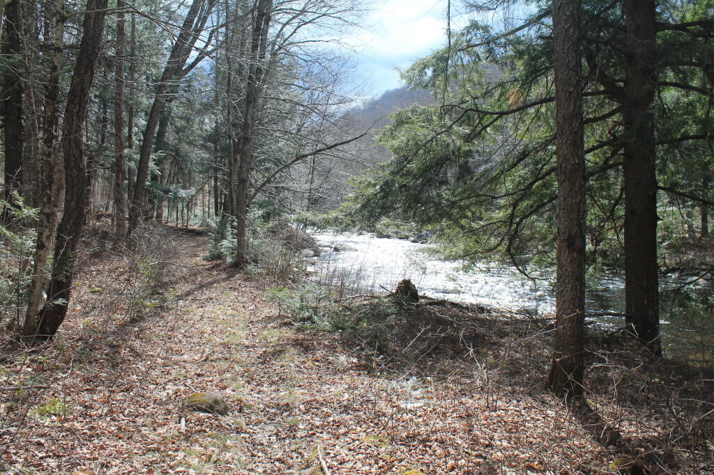 Photo: Sparkling Creek