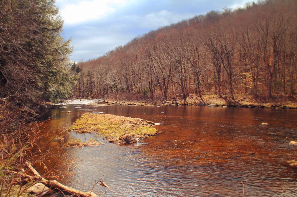 Photo: Eas Stoney Creek