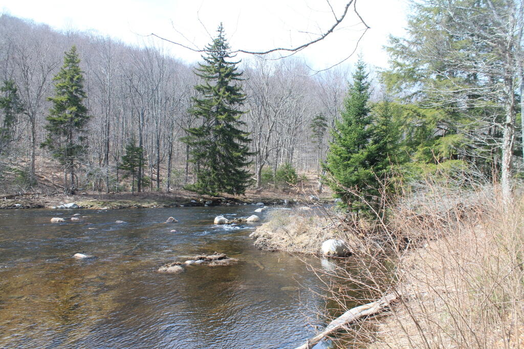 Photo: Photo.2013.04.27 16.33.26