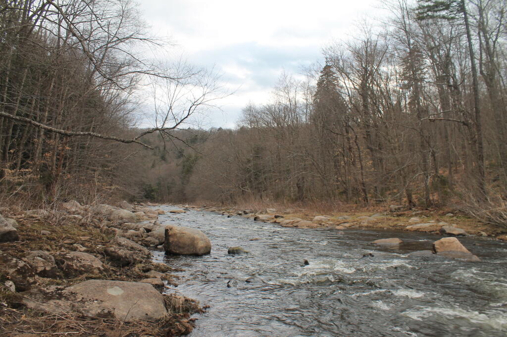 Photo: Doesn't Look Like Spring